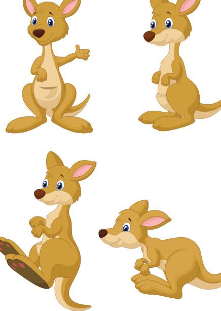 Cartoon Wallaby Illustrations Royalty Free Vector Graphics And Clip Art