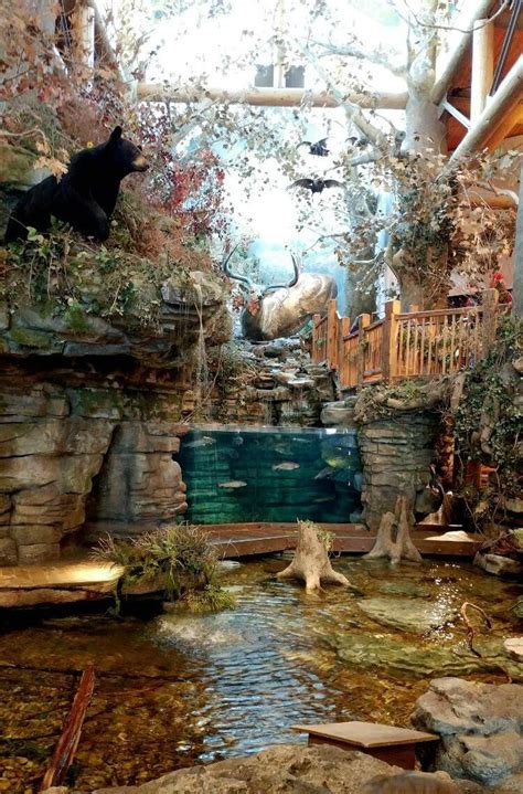 Natural Habitat Displays At Bass Pro Shops Treescapes And Plantworks