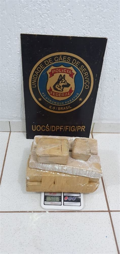 PF prende em flagrante homem 5 kg de maconha Polícia Federal