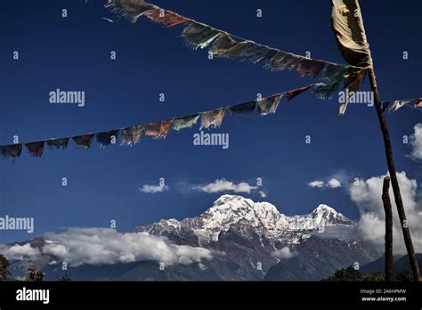 Tibetan Prayer Flags Lung Ta At The Annapurna And Hinchuli Peak Of