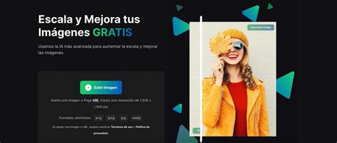 Ai Image Upscaler Información Precio Y Alternativas 2023