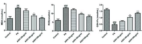 ASIV Inhibits PA Induced Oxidative Stress In LO2 Cells The Levels Of