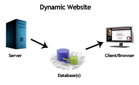 Static and dynamic website examples - bingergeek