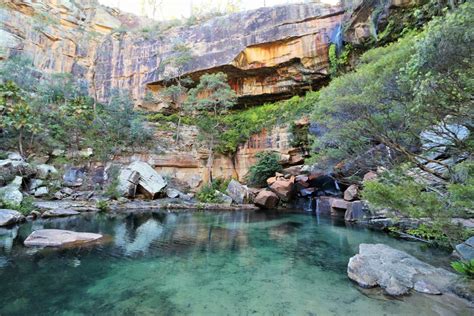 National Park Odyssey: More Walks at Blackdown Tablelands National Park ...