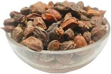 Neem Tree Seeds Azadirachta Indica Seed Neem Seed Etsy