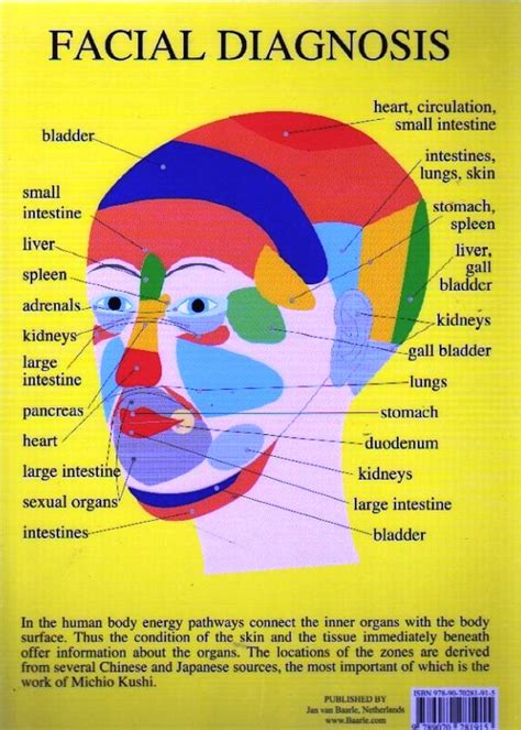 Facial Diagnosis A4 Chart Acumedic Shop