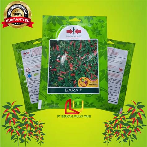 Jual Benih Bibit Cabe Rawit Super Pedas BARA Cap Panah Merah 500 Butir