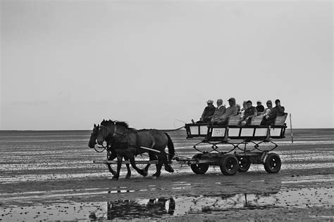 North Sea Wadden Watt Car Free Photo On Pixabay Pixabay