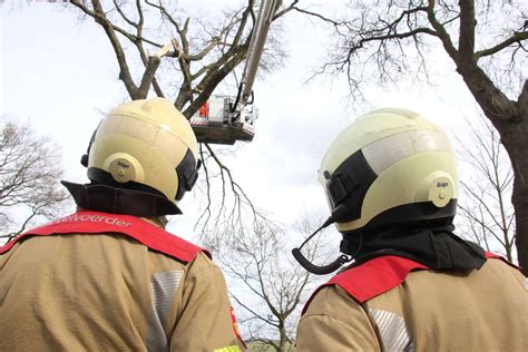 Brandweer Verwijdert Gevaarlijke Hangende Takken Van Bomen Eemnes