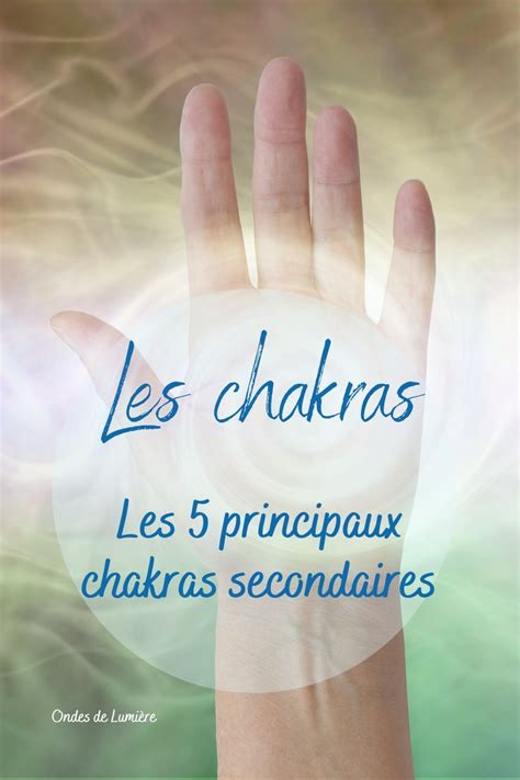 Les 5 Principaux Chakras Secondaires Les Chakras Chakra Chakra Francais