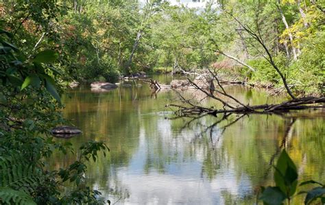 Peshtigo River Trail Photo, Wisconsin Trail Guide