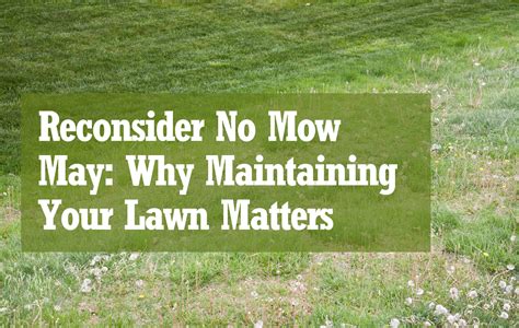 Reconsider No Mow May Why Maintaining Your Lawn Matters Joe S Lawn Care