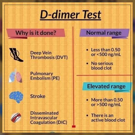 D Dimer Test Definition Diagnosis And What To Expect Egiomed