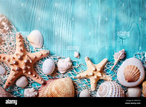 Summer time concept with seashells and starfish on blue wooden boards. Rest on the beach ...