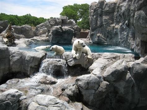 Rio Grande Zoo - Albuquerque, NM - Kid friendly activity reviews - Trekaroo