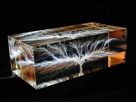 Capture Lightning Lichtenberg Figures Design Swan Lichtenberg