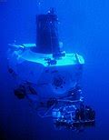 Deep-sea community - Wikipedia