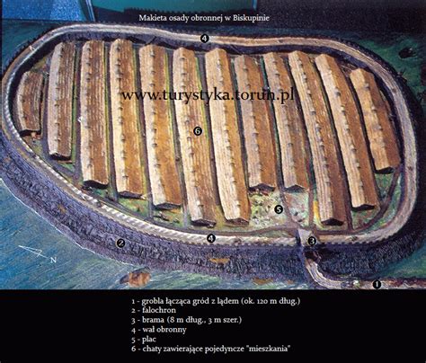 Muzeum Archeologiczne W Biskupinie Przewodnik Toru Ski Serwis Turystyczny