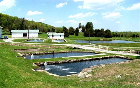 Ridge Fish Hatchery Morgan County West Virginia Along Us Route 522