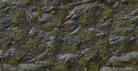 Moss Rock Texture Seamless