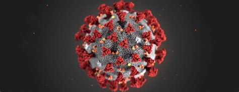 Coronavirus Lo Que Hay Que Saber Del Covid Noticias Onu