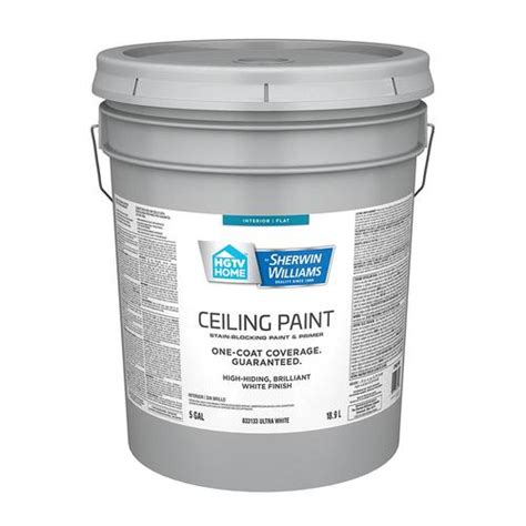 Sherwin Williams Promar Ceiling Paint Reviews | Shelly Lighting