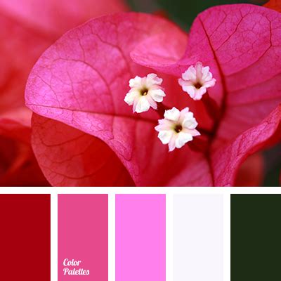 rich colour of fuchsia | Color Palette Ideas