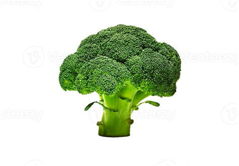 Broccoli png transparent background 29711699 PNG