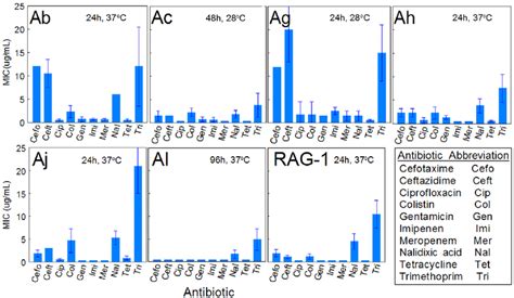 Antibiotic Susceptibility Assays Antibiograms Generated From Growing