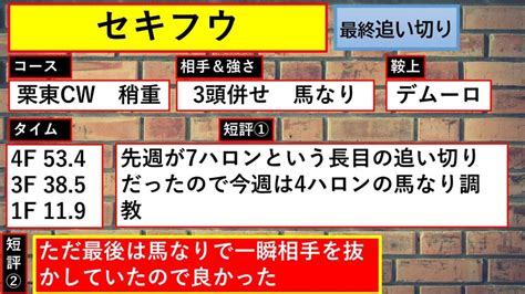 【ユニコーンステークス2022年】ジュタロウ・リメイク・ハセドン・インダストリア・コンバスチョン・セキフウの追い切り診断！｜スマイルトレンド情報