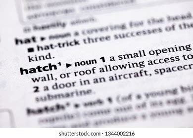 Blurred Close Partial Dictionary Definition Hatch Stock Photo ...