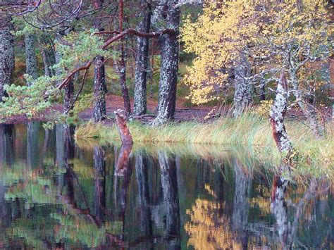 Dark Water Reflections Photograph by Jennifer Pejic | Fine Art America