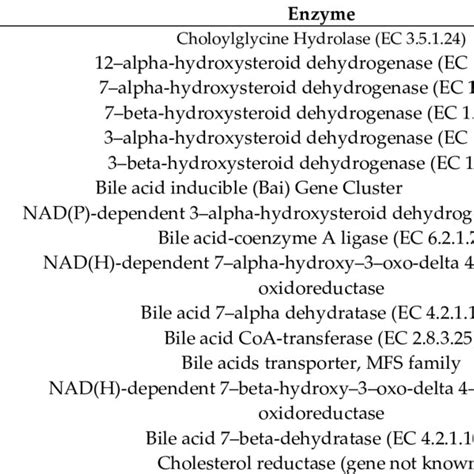 Enzymes Involved In Secondary Bile Acid Synthesis Download Scientific Diagram