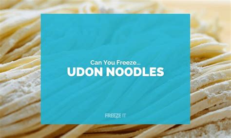 Can You Freeze Udon Noodles Yes Heres How Freeze It