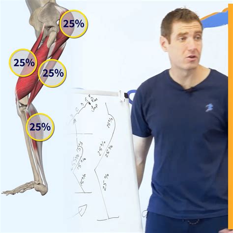 Anterior Knee Pain Online Course + CEUs