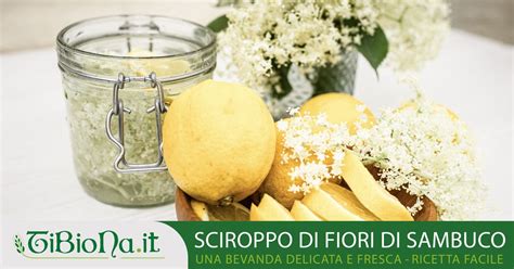 Sciroppo Di Fiori Di Sambuco Ricetta Facile Il Blog Magazine Di Tibiona