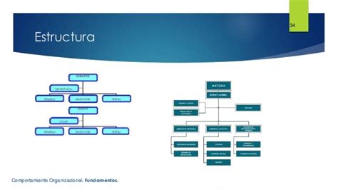 31 Y 32 Estructura Empresarial En México