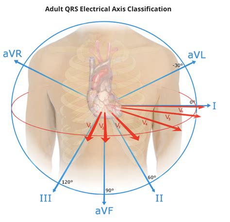 Axis Basics Ecg Weekly