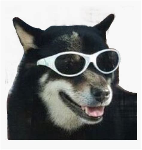 Dog Wearing Glasses Meme - Fuegoder Revolucion