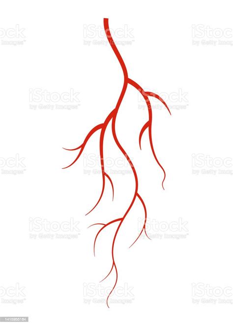 Vetores De Veias Humanas Vaso De Silhueta Vermelha Artérias Ou