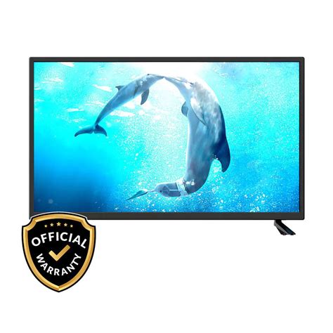 Danaaz 32 Inch Android Smart LED TV (DZLE-32AS21X)