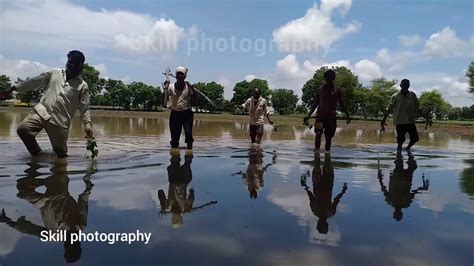 Farmers are worried about waterlogging पणयत गलल लगवड बघन शतकर