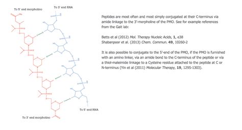 Peptide Conjugates Crb Discovery