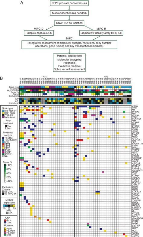 Figure 1 From Integrative Molecular Profiling Of Routine Clinical