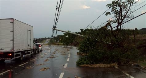 Chuva forte derruba pelo menos oito postes em rodovia da região