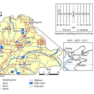 Location Of The Study Area And Sampling Sites In The Yellow River Delta