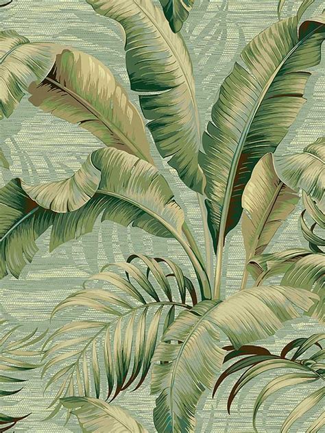 Palmiers Seamist Peel And Stick Wallpaper 802800wr By Tommy Bahama Wallpaper