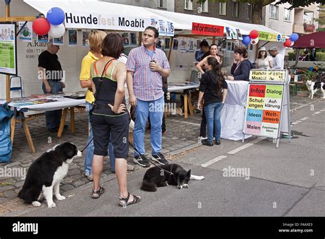 Cabines Pour Chiens Banque De Photographies Et Dimages à Haute