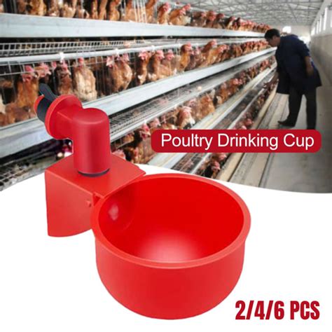 Water Feeders Poultry Fully Automatic Chicken Pigeon Waterer Feeding