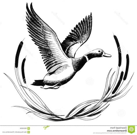 Flying Duck Outline Vector Createmepink